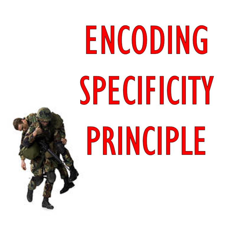 Encoding Specificity Principle