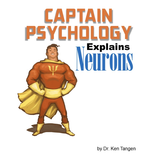 Captain Psychology explains neurons