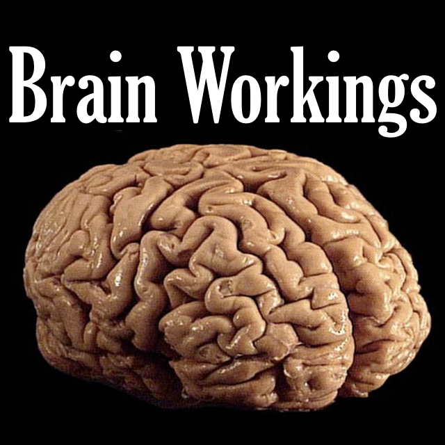 Brain Workings