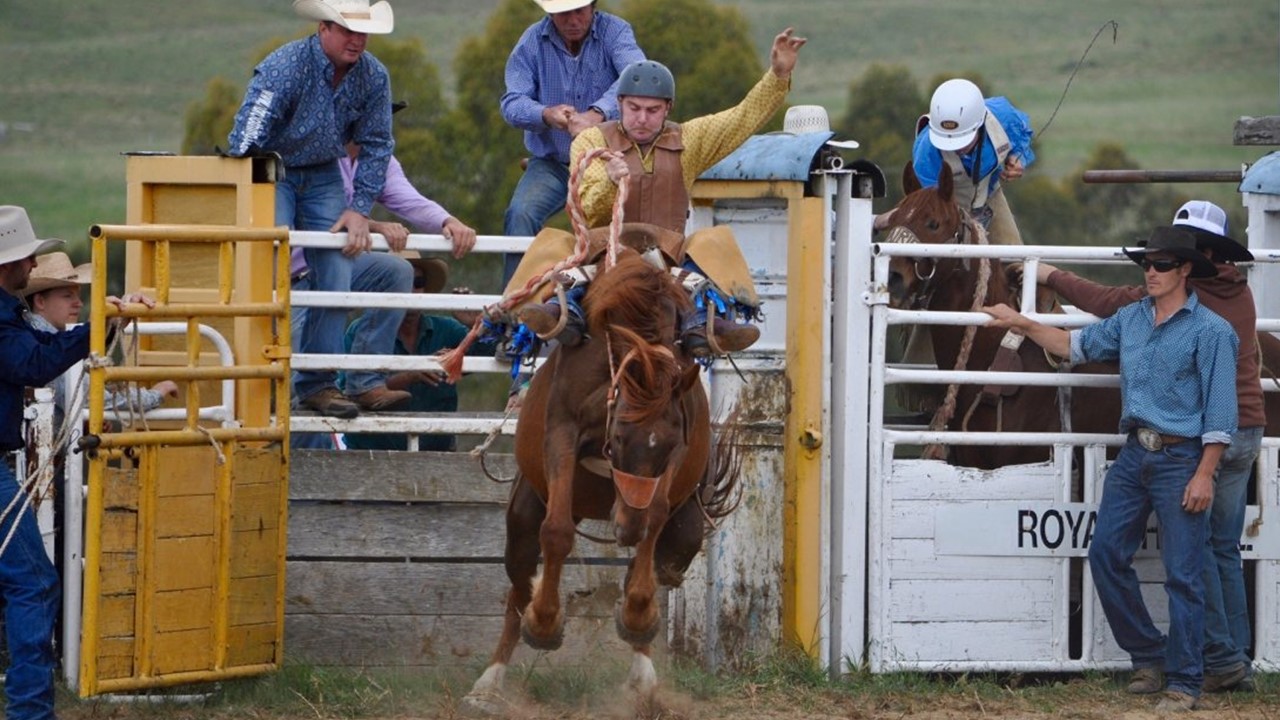 Bronco Ride Your Habits Away - kentangen.com