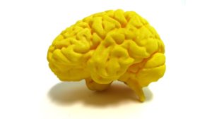 yellow brain